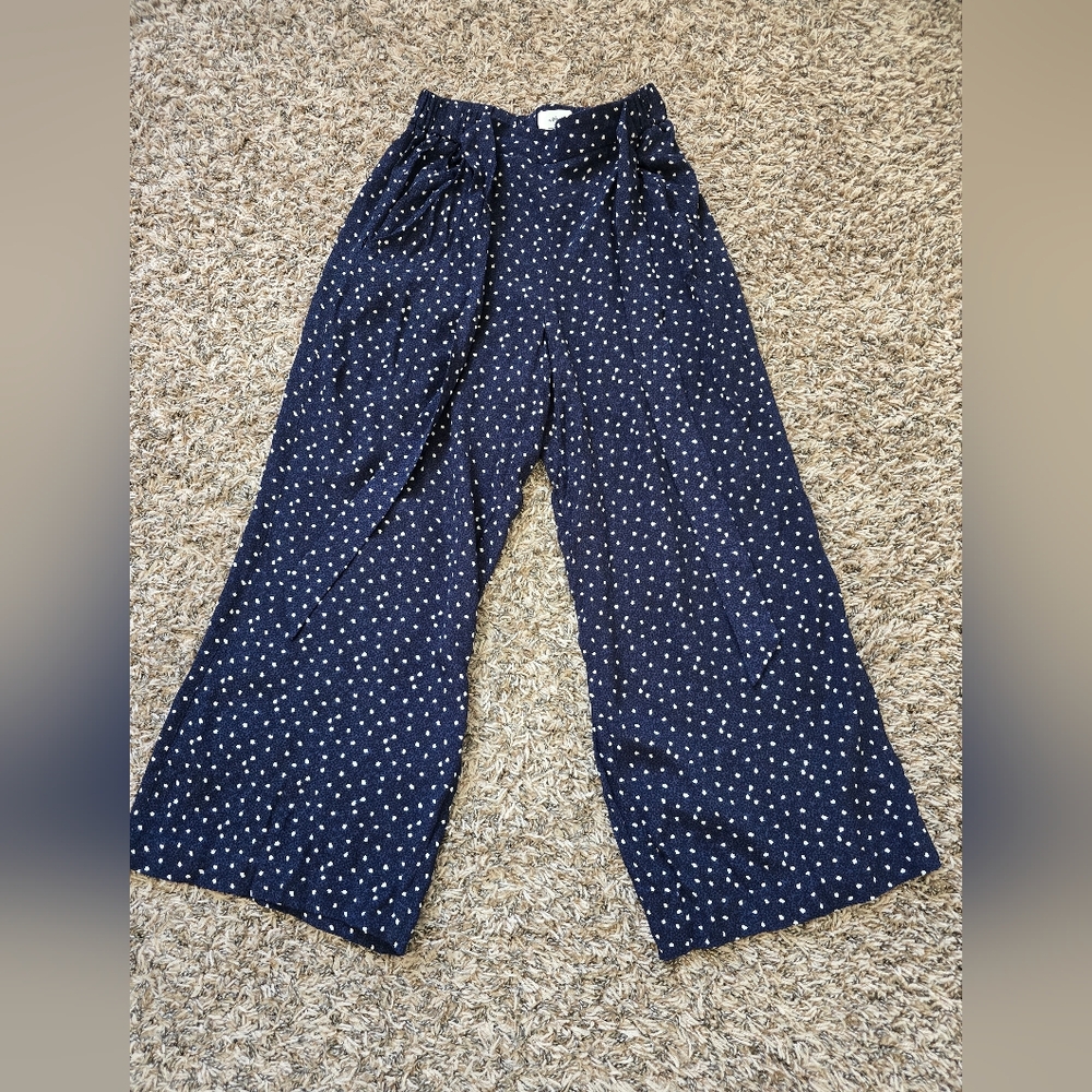 Aritzia Wilfred Wide Leg Pants Xxs
